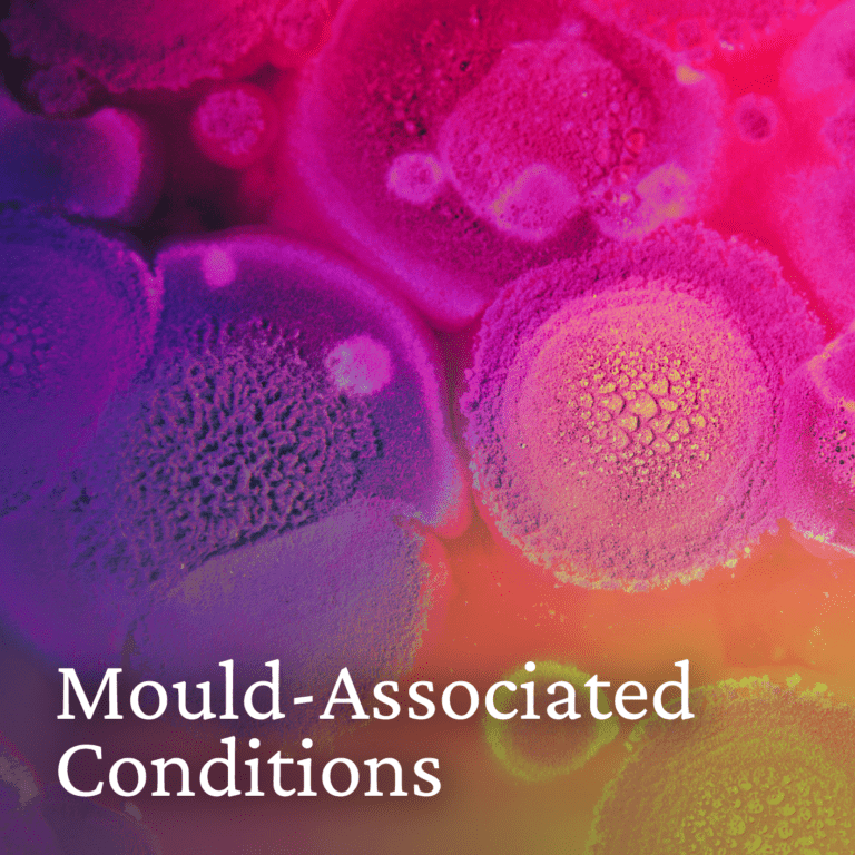 Mould Conditions